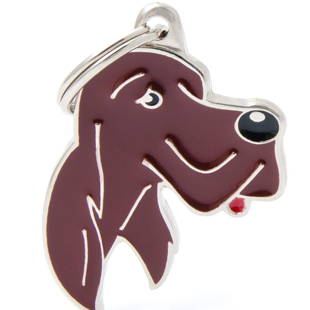 MF28IRISH Irish Setter