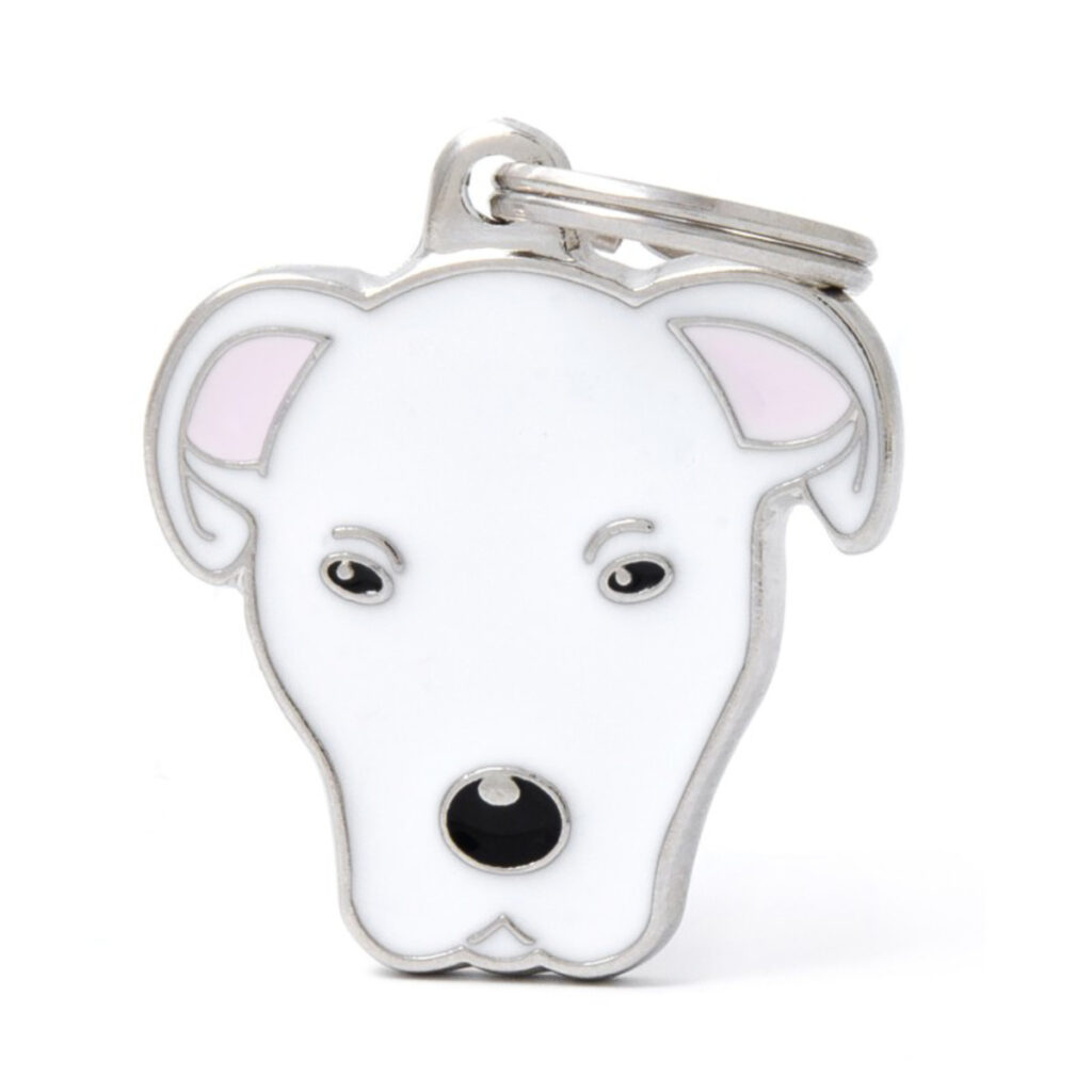 MF49 Dogo Argentino