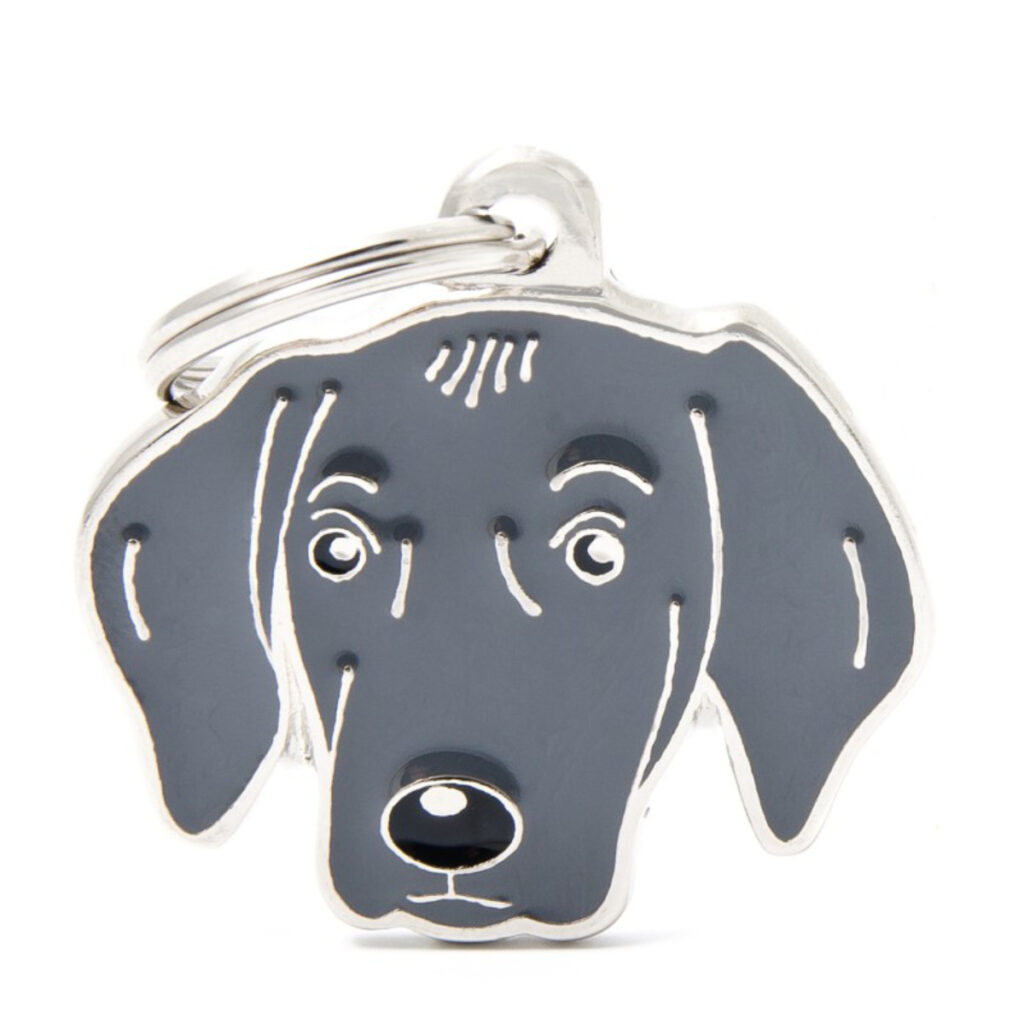 MF62 Weimaraner
