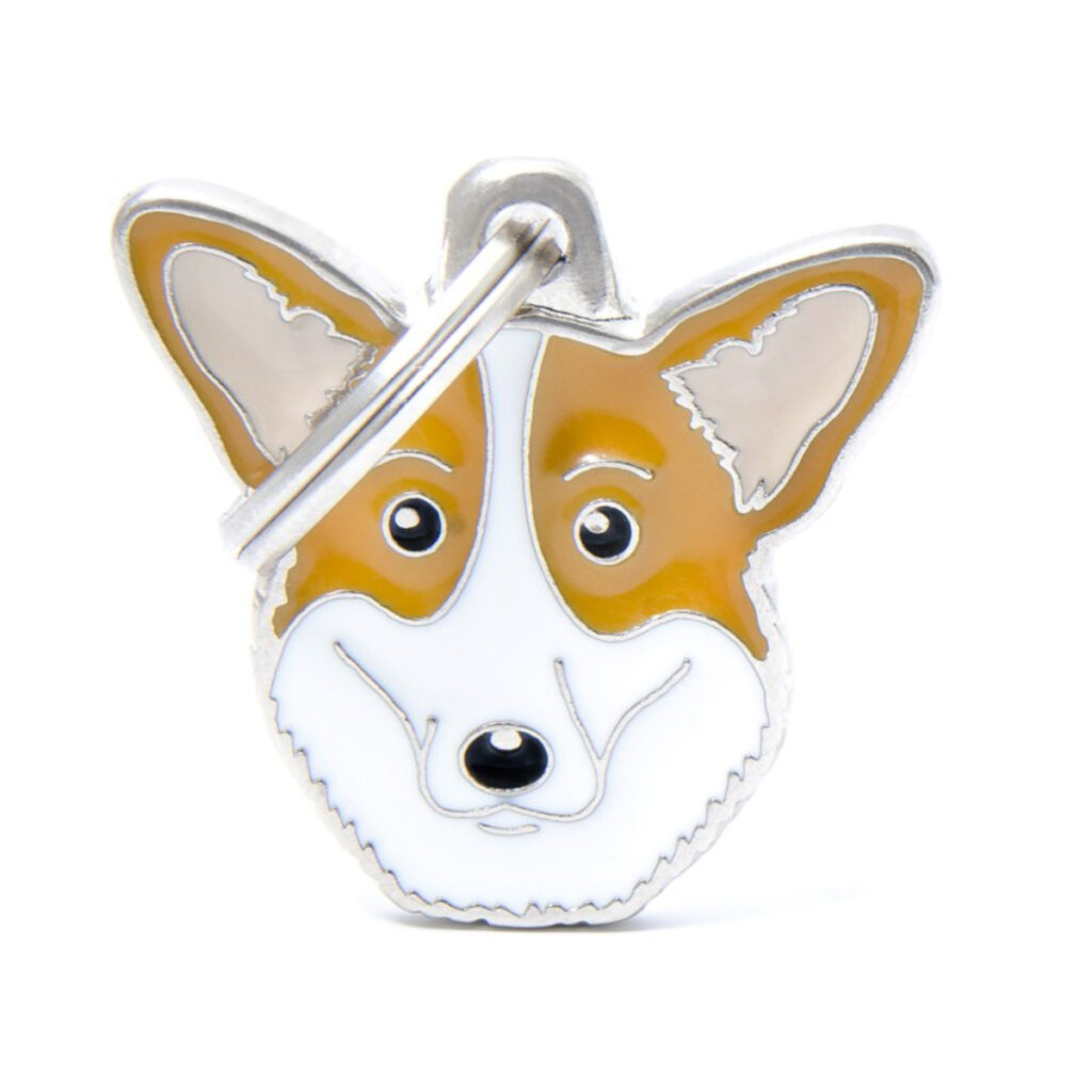 MF66 Cardigan Welsh Corgi