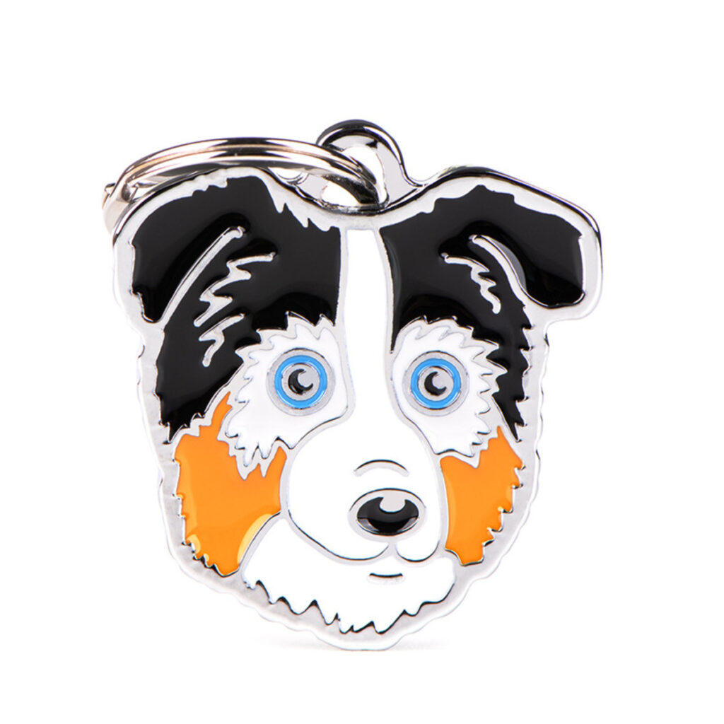 MF75 Blue Merle Australian Shepherd