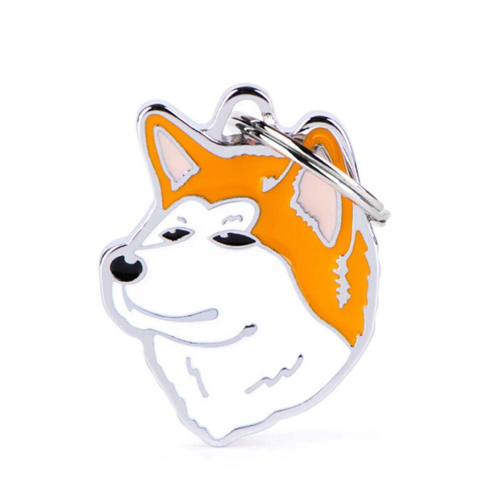 MF79 Shiba Inu