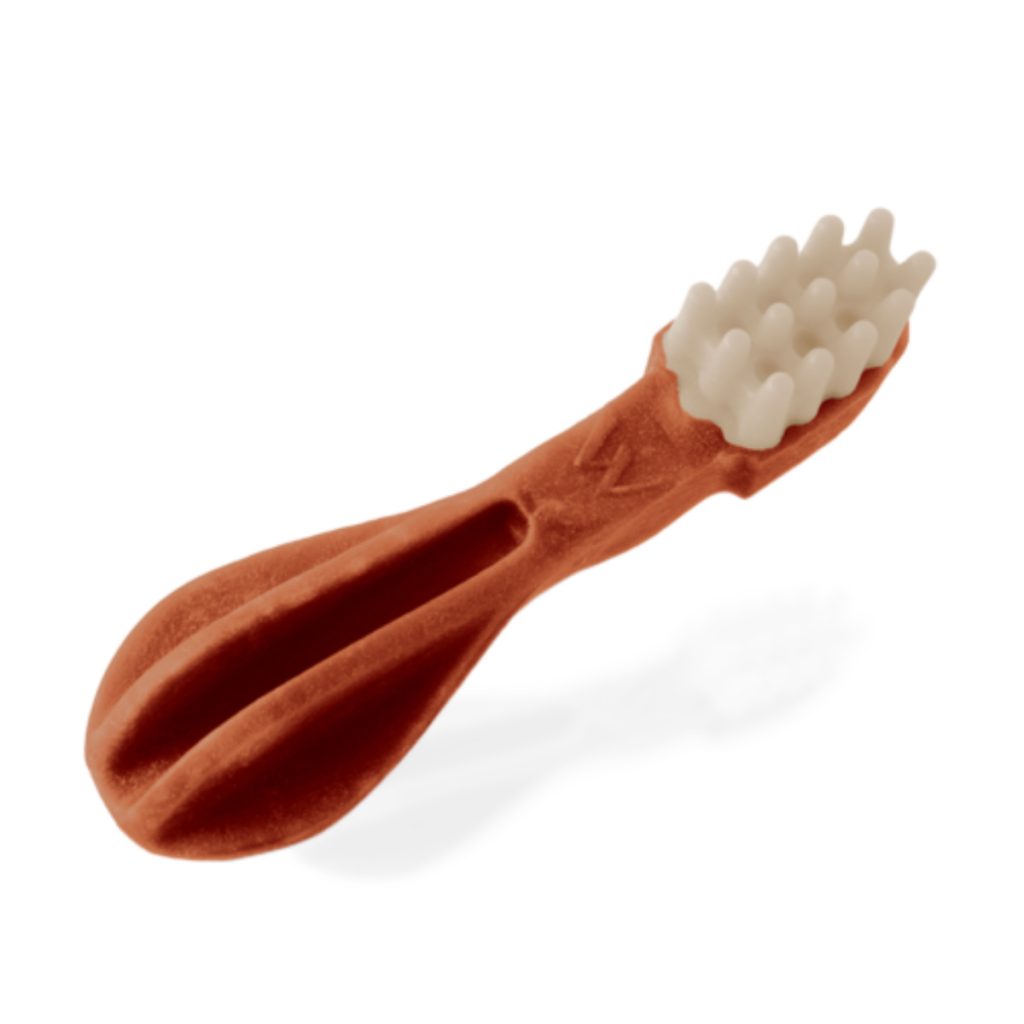 Toothbrush-Red-B-2-500x500-c-center