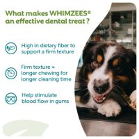 whimzees_e_com_panels_extra_1-500x500-c-center