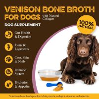 2nd_image_0d6404c6-65b7-498d-8afa-59d3a294e12a