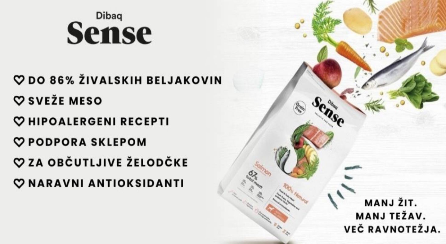 SENSE-PASICA-PRAVA-DIMENZIJA1