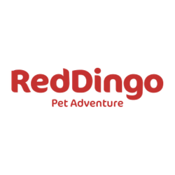 red dingo
