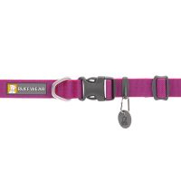 2555_Hi-_-Light-Collar_Alpenglow-Pink_Buckle_WEB