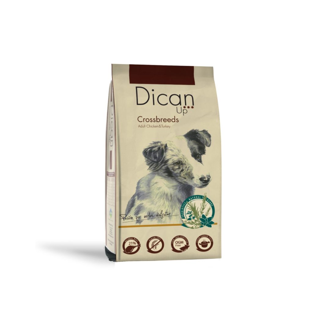 dican-up-crossbreeds-adulto(1)